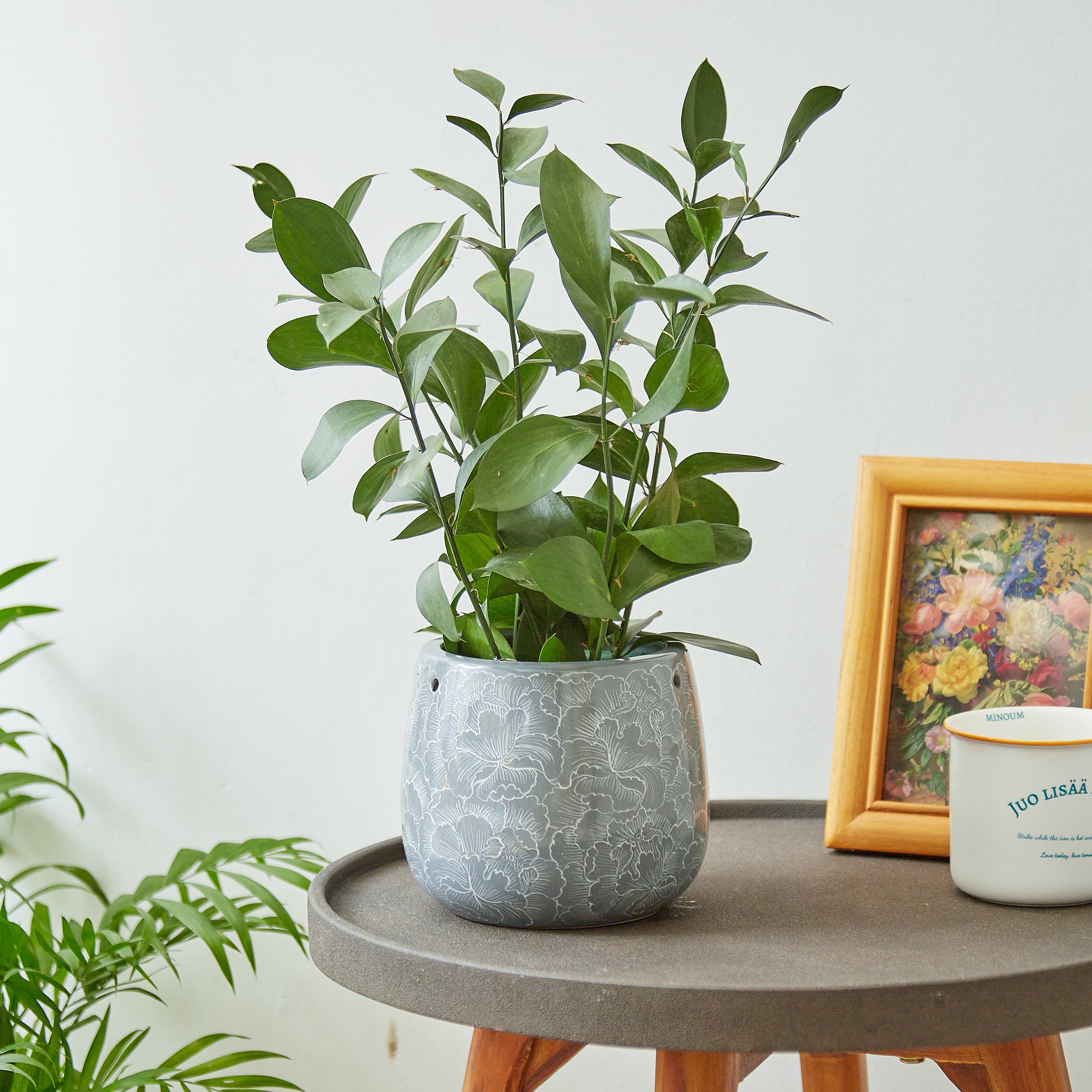 gray hanging planter Grey Hanging Planter with Macrame Plant Hanger – GomQ