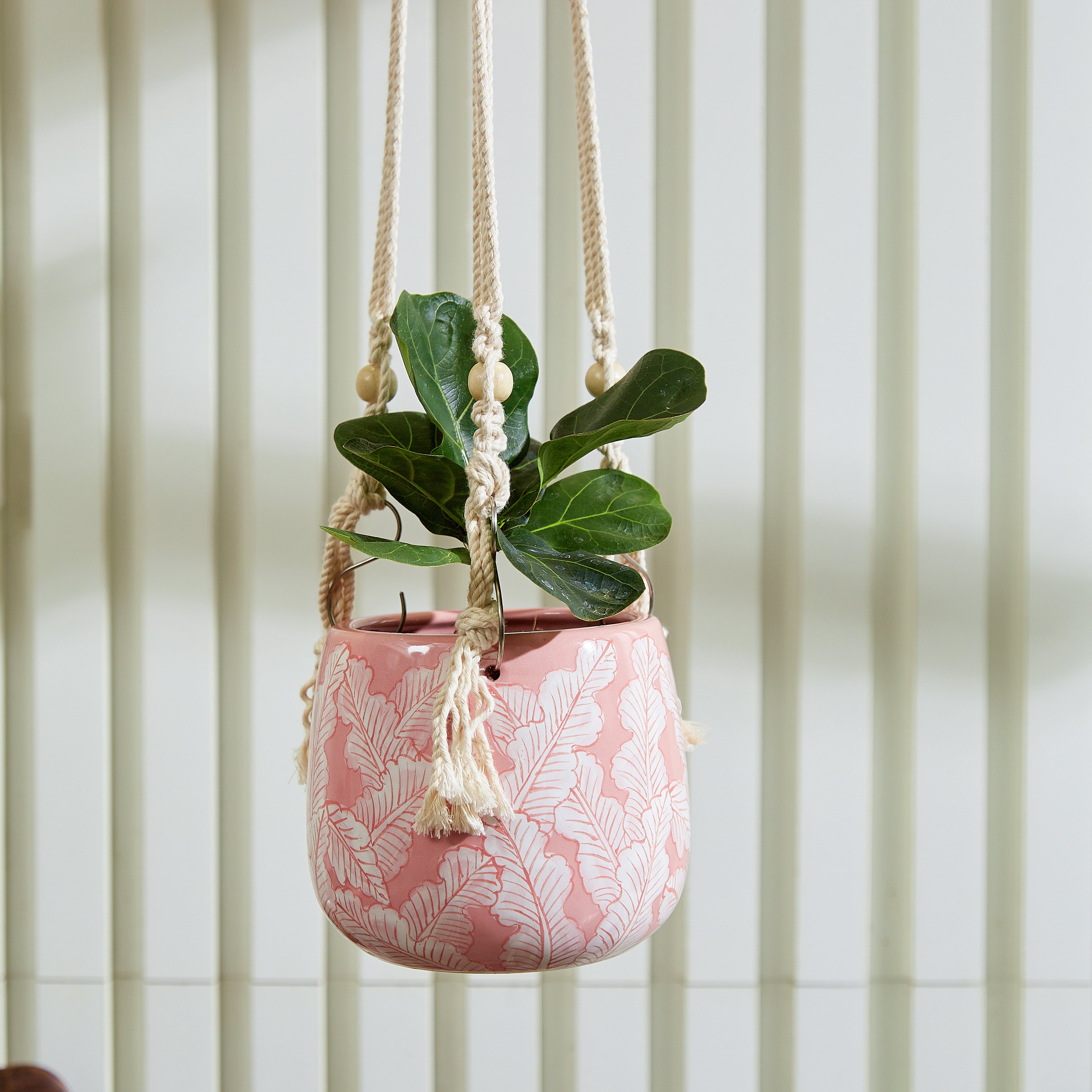 pink hanging planter PalmBlush Hanging Planter with Macrame Plant Hanger