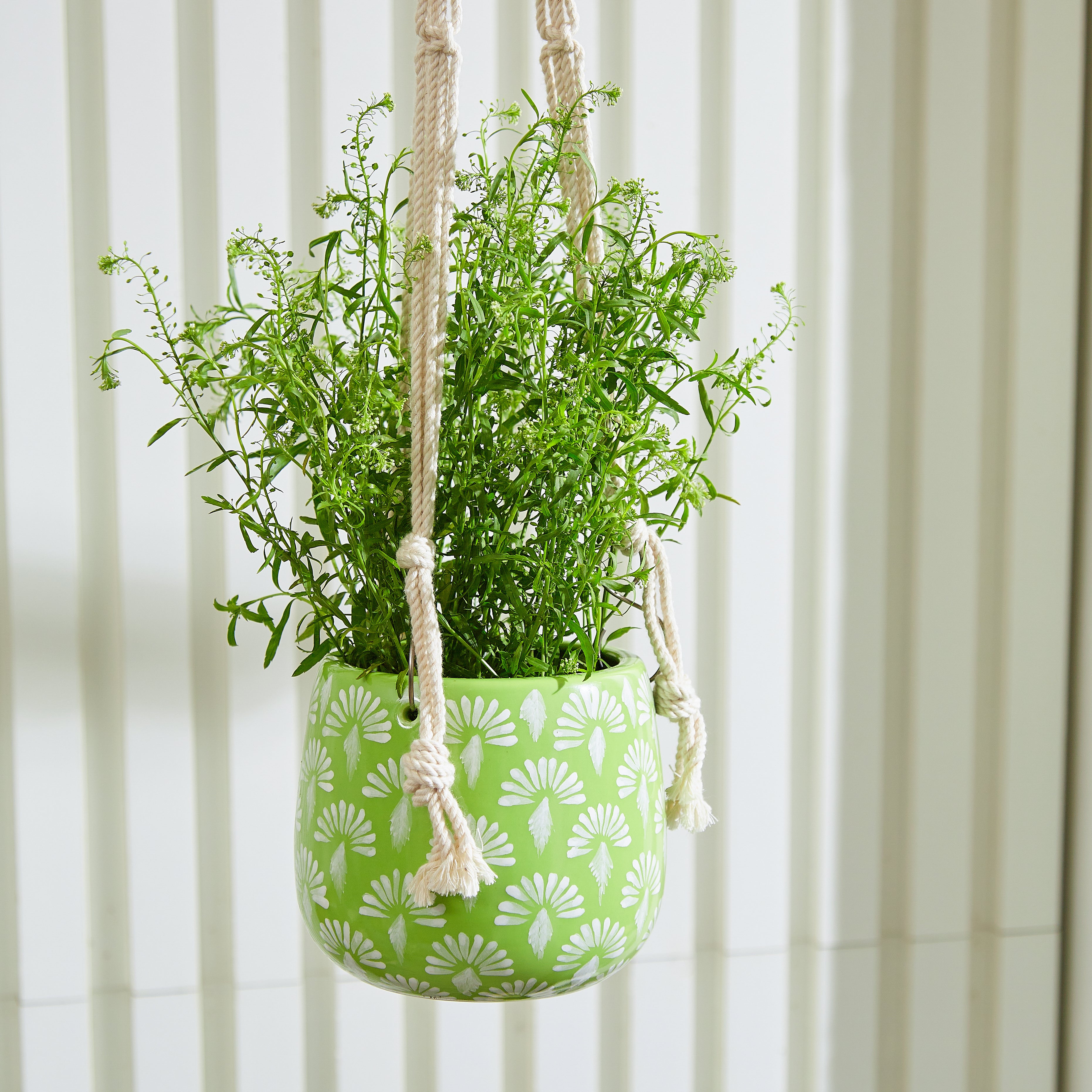Macrame Plant Hanger - Hanging Planter - 5 inch planter - Drainage Hole