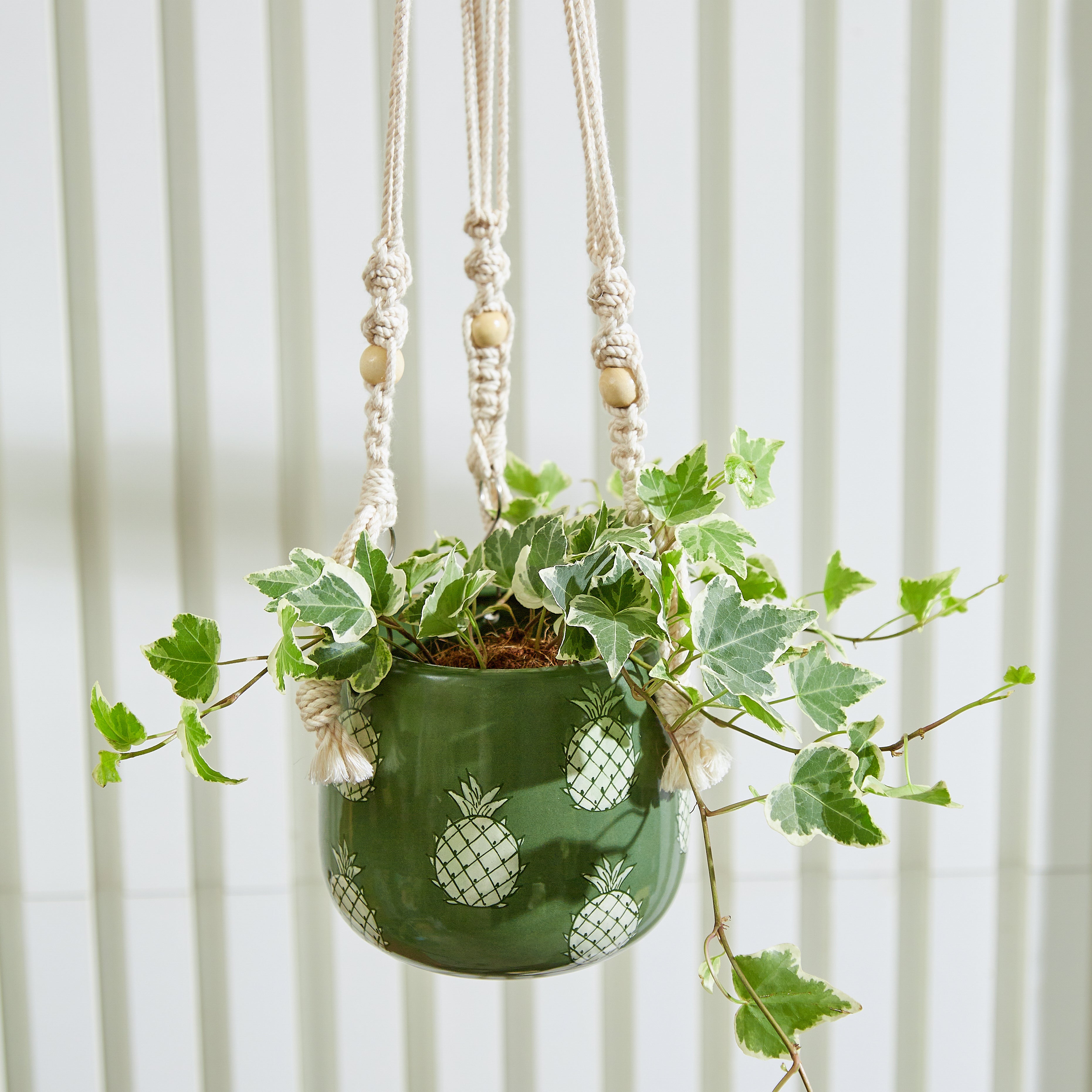 Hanging Planter - Macrame Plant Hanger - 5 inch planter - Drainage Hole