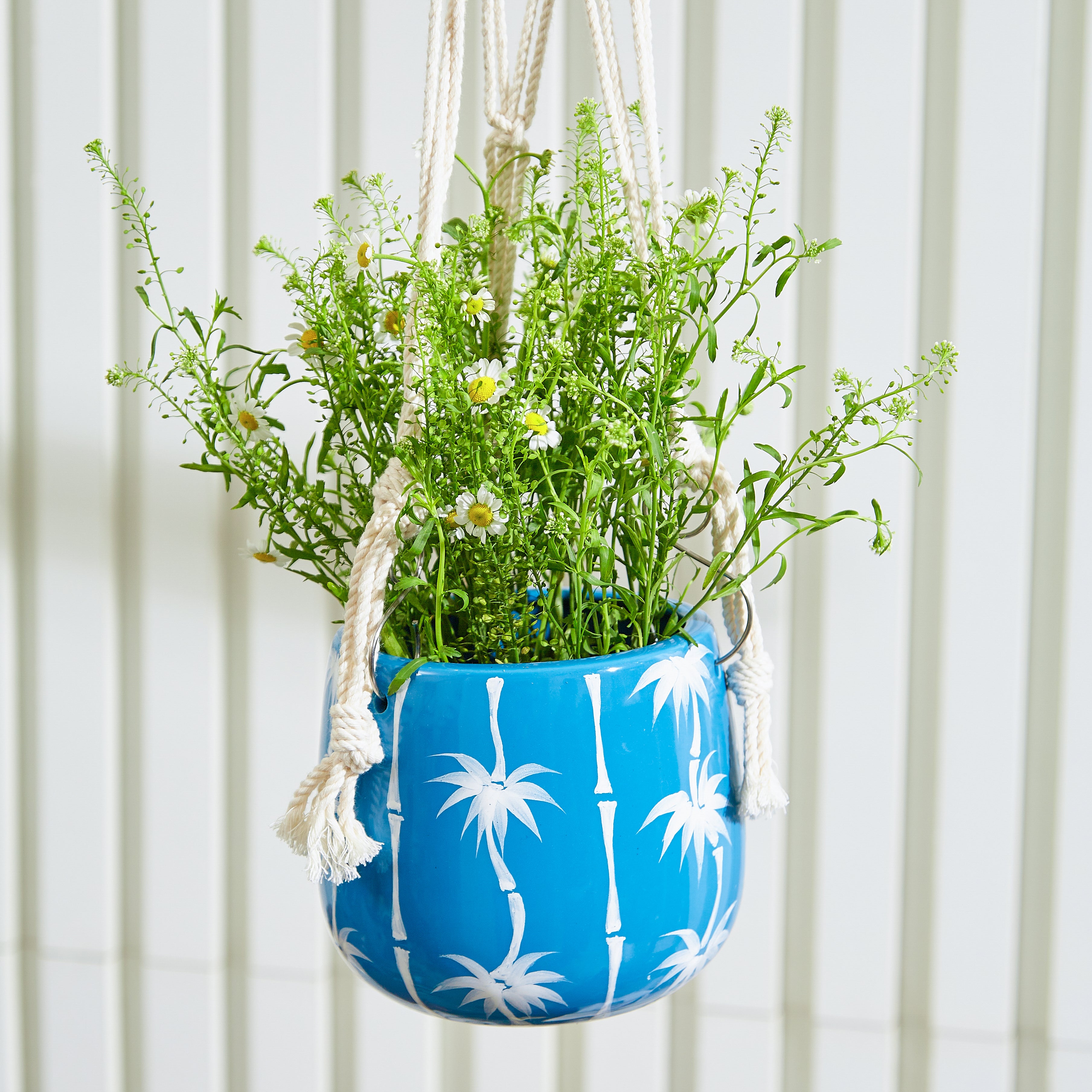 enamel hanging planter SkyPalms Hanging Planter with Macrame Plant Hanger – GomQ