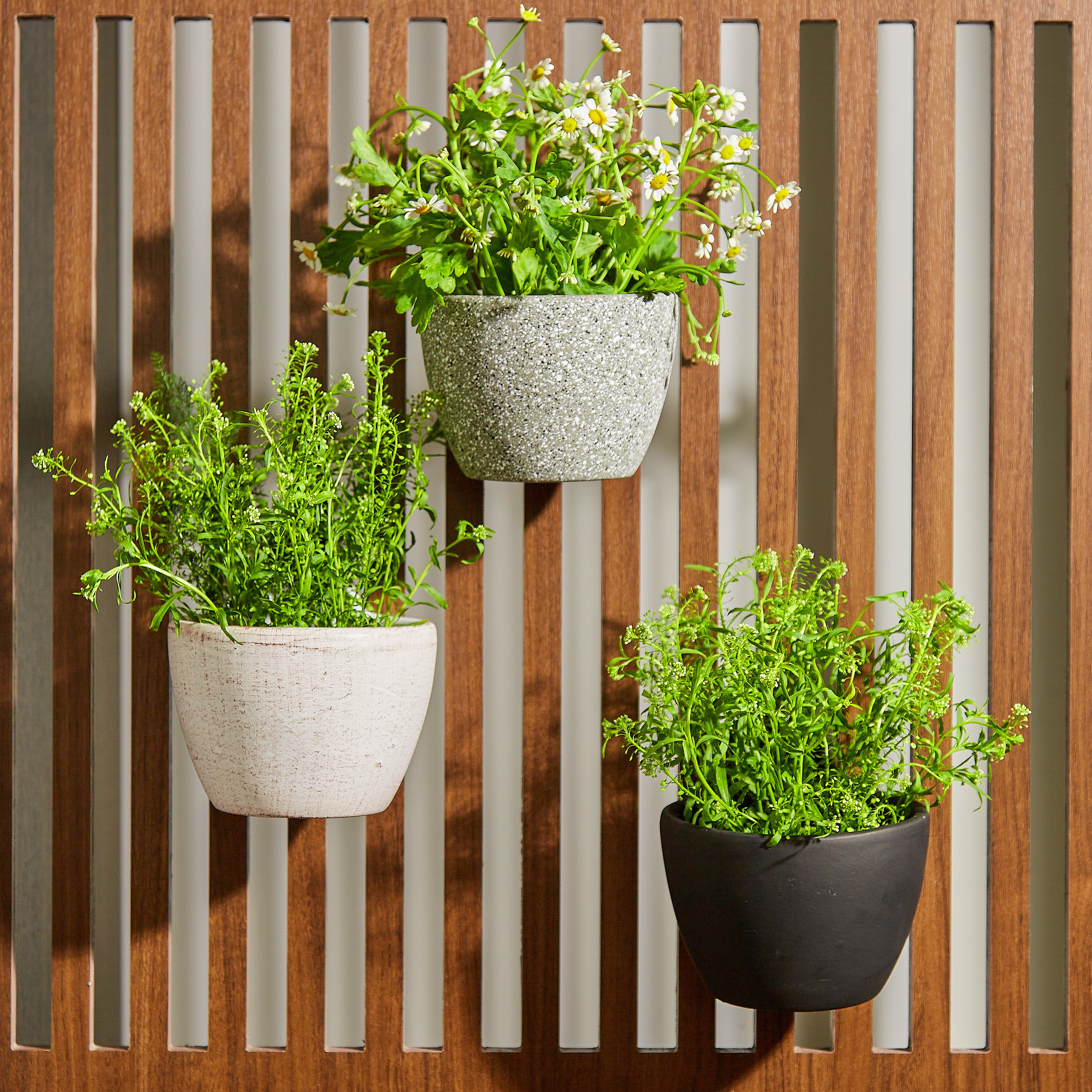 Wall Planter - Railing Hanging Planter - Balcony Planters - Vertical Planter - Planters for Outdoor Plants