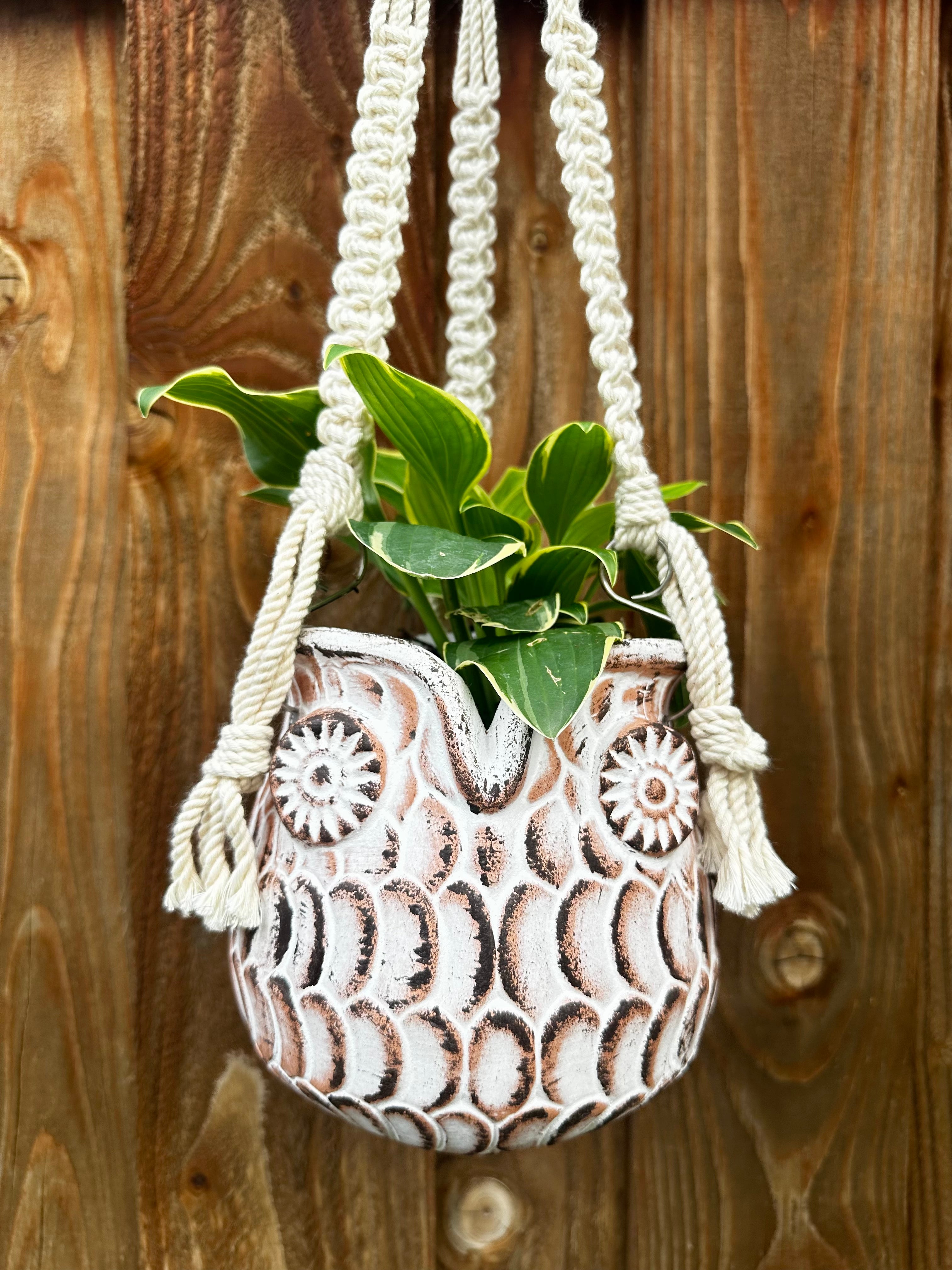 macrame pot plant holder White Owl Hanging Planter with Macrame Plant Hanger – GomQ