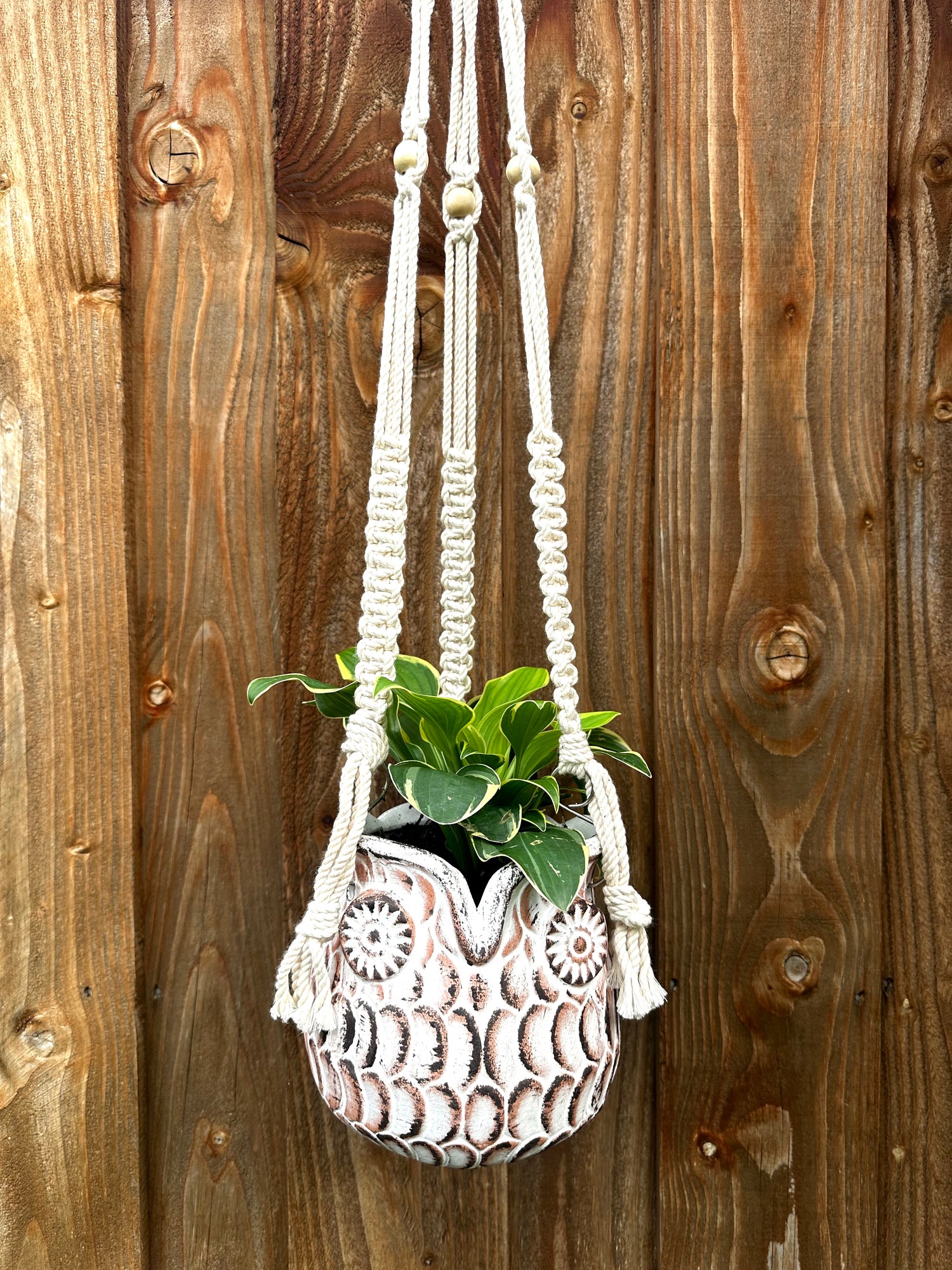 White Owl Hanging Planter with Macrame Plant Hanger