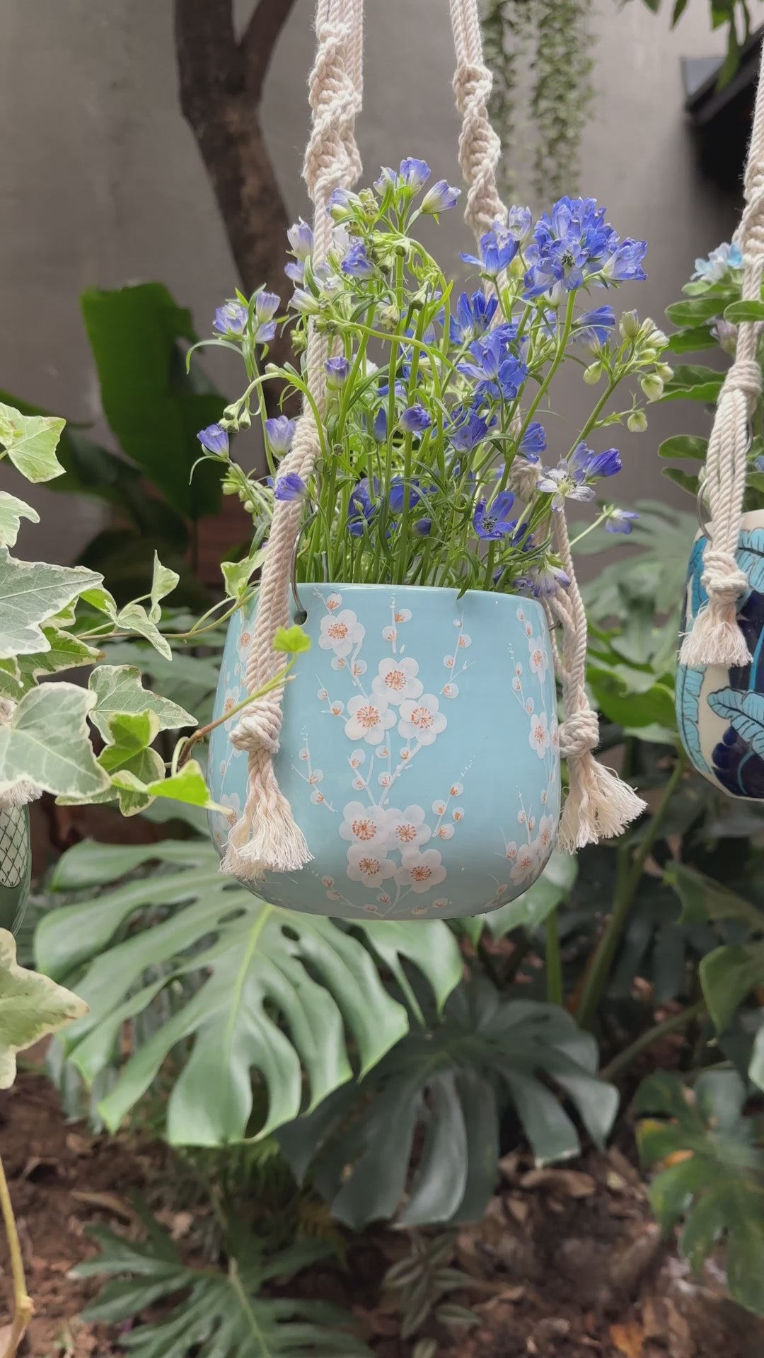 Hanging Planter - Macrame Plant Hanger - 5 inch planter - Drainage Hole