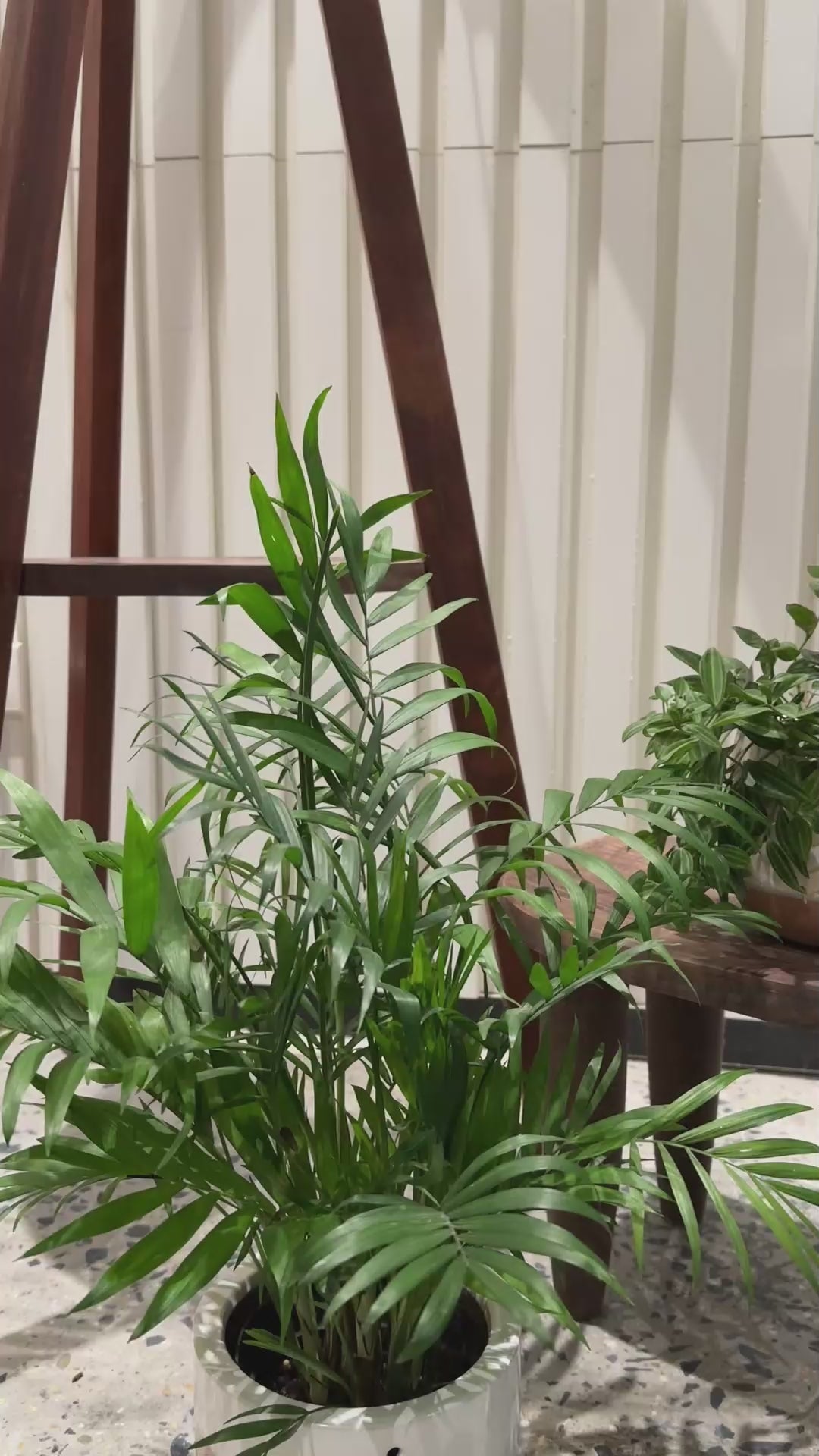 Terracotta Hanging Planter with Macrame Hanging Planter