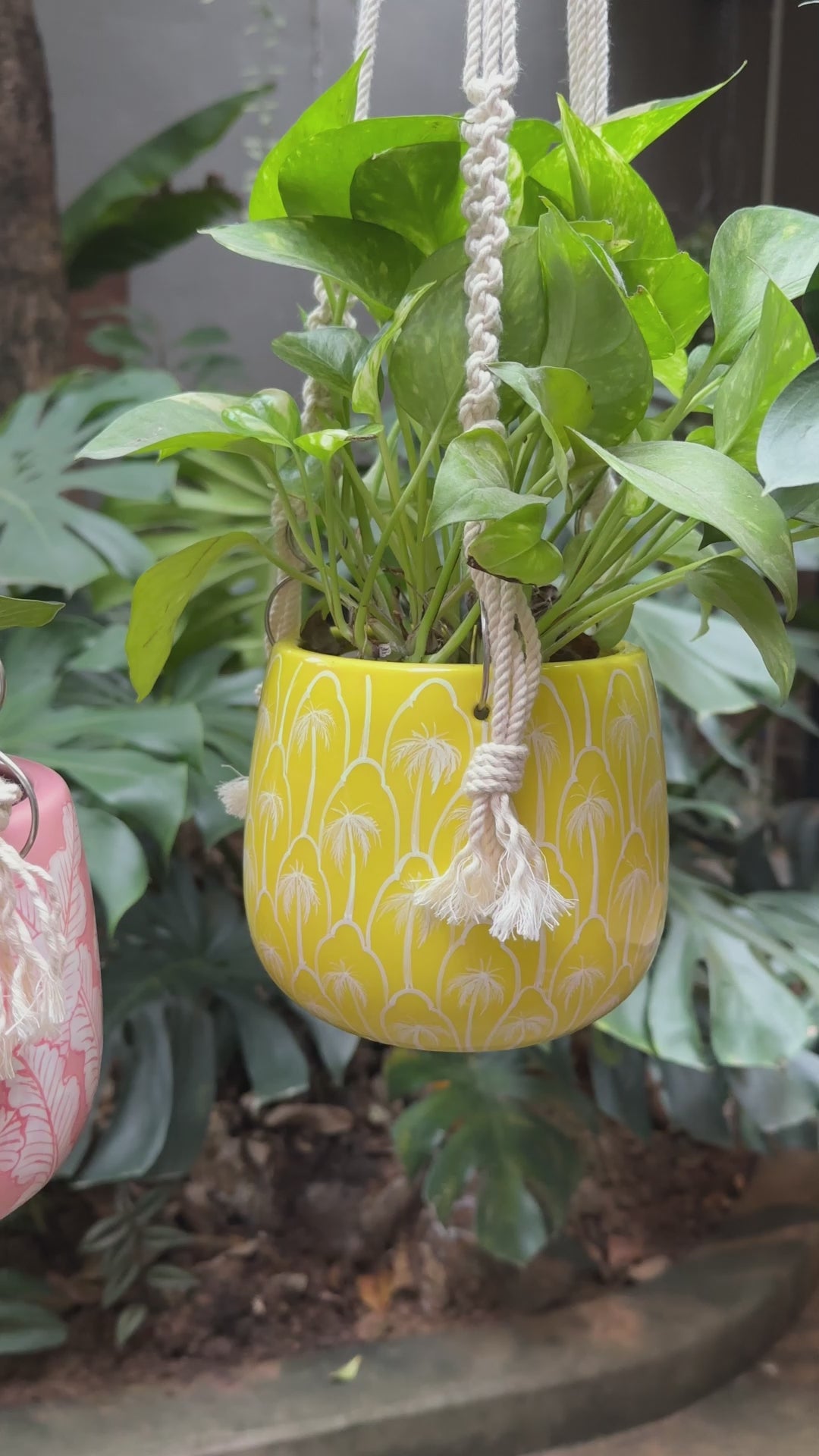 Hanging Planter - Macrame Plant Hanger - 5 inch planter - Drainage Hole