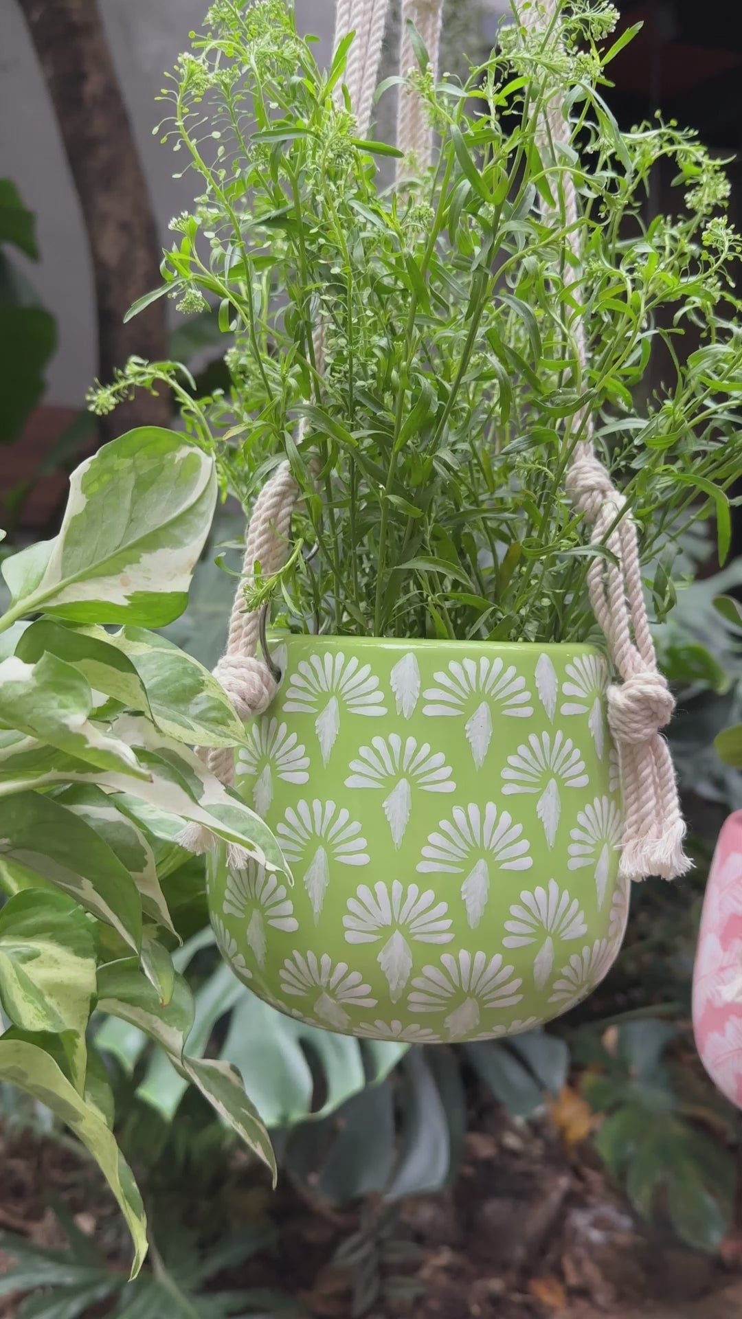 Green Hanging Planter with Macrame Hanging Planter