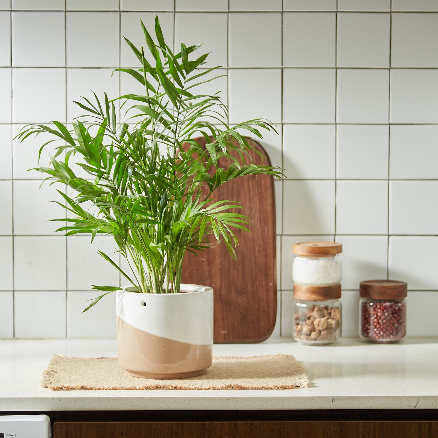 hanging kitchen planter Sable Hanging Planter with Macrame Plant Hanger
