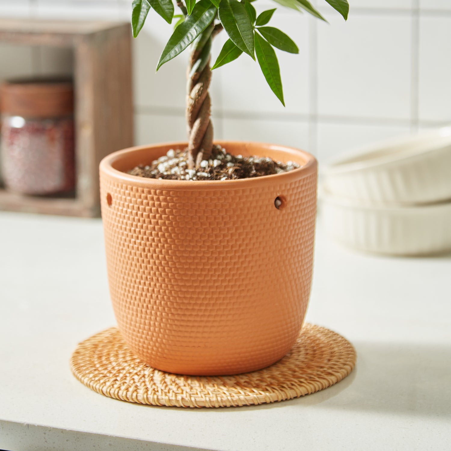 Tabletop planter - office planter - decorative planter - Terracotta Planter