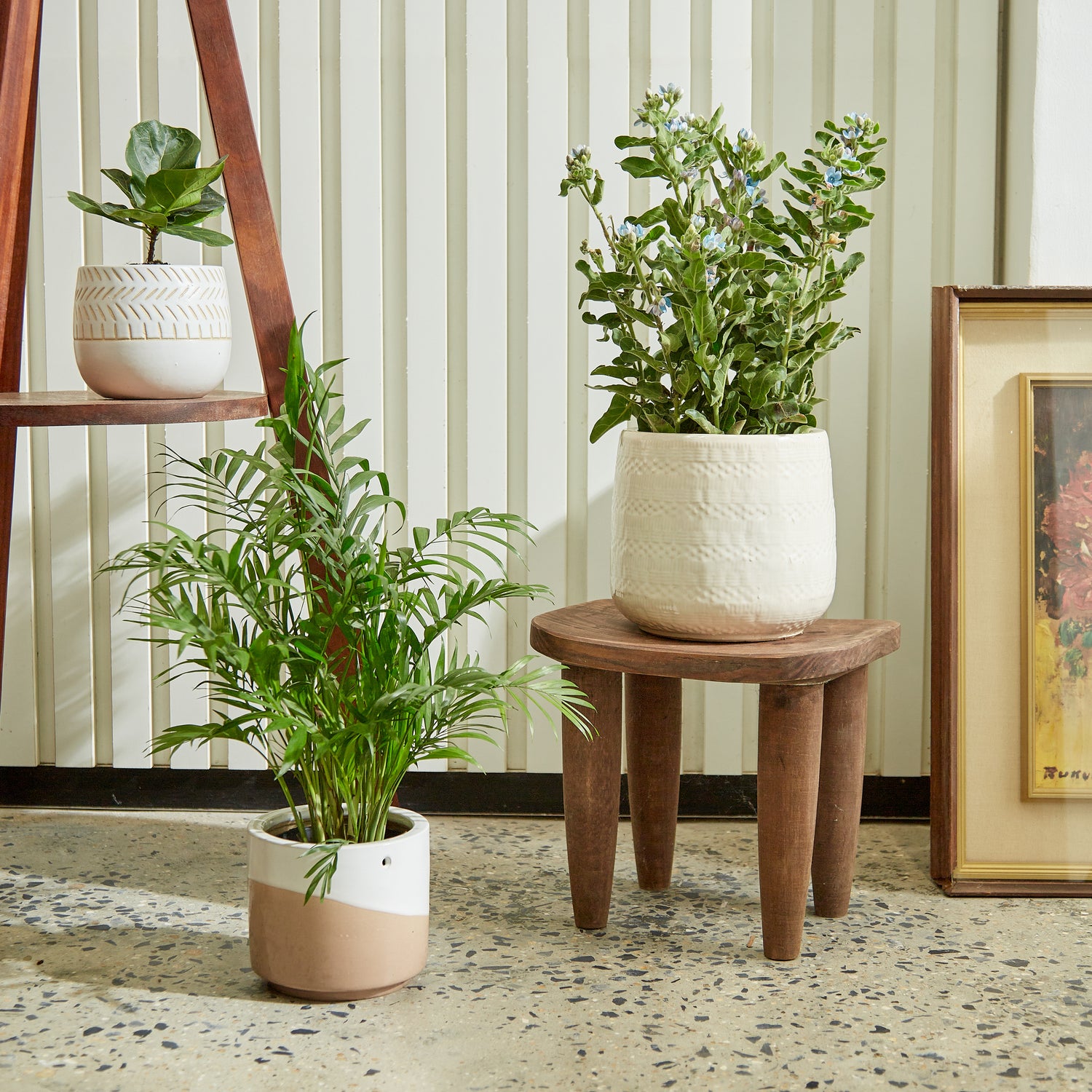 30cm ceramic plant pot Vitruvian Ceramic Planter – GomQ