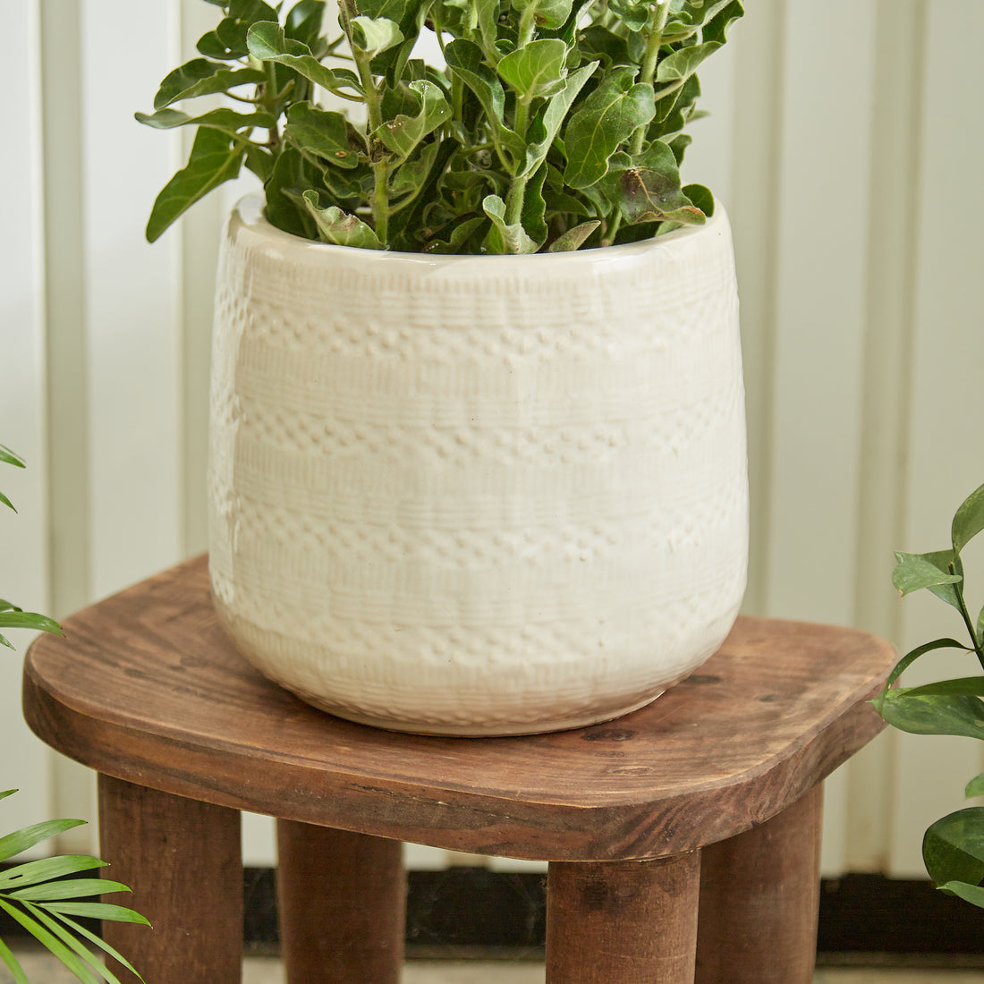 Tabletop planter - office planter - decorative planter - Ceramic Planter