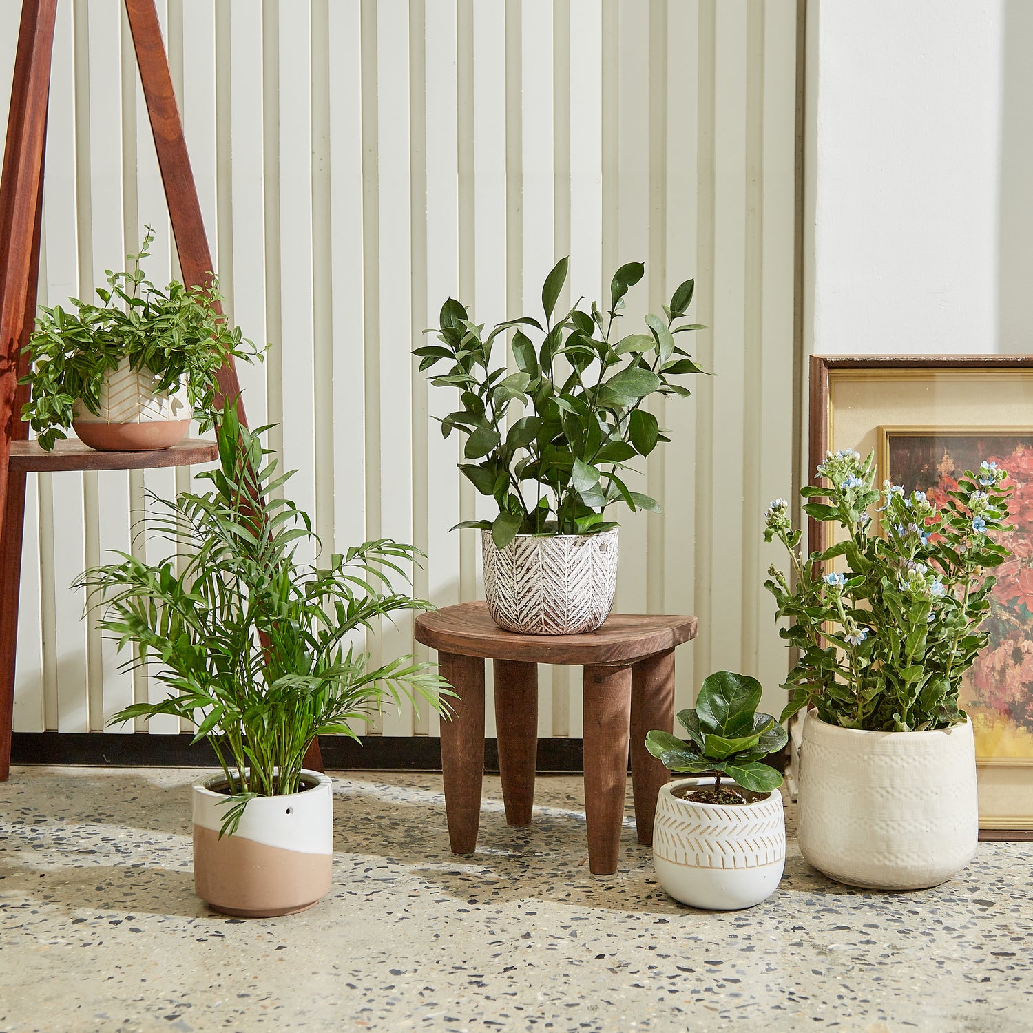tabletop plant pot Geoluxe Ceramic Planter – GomQ