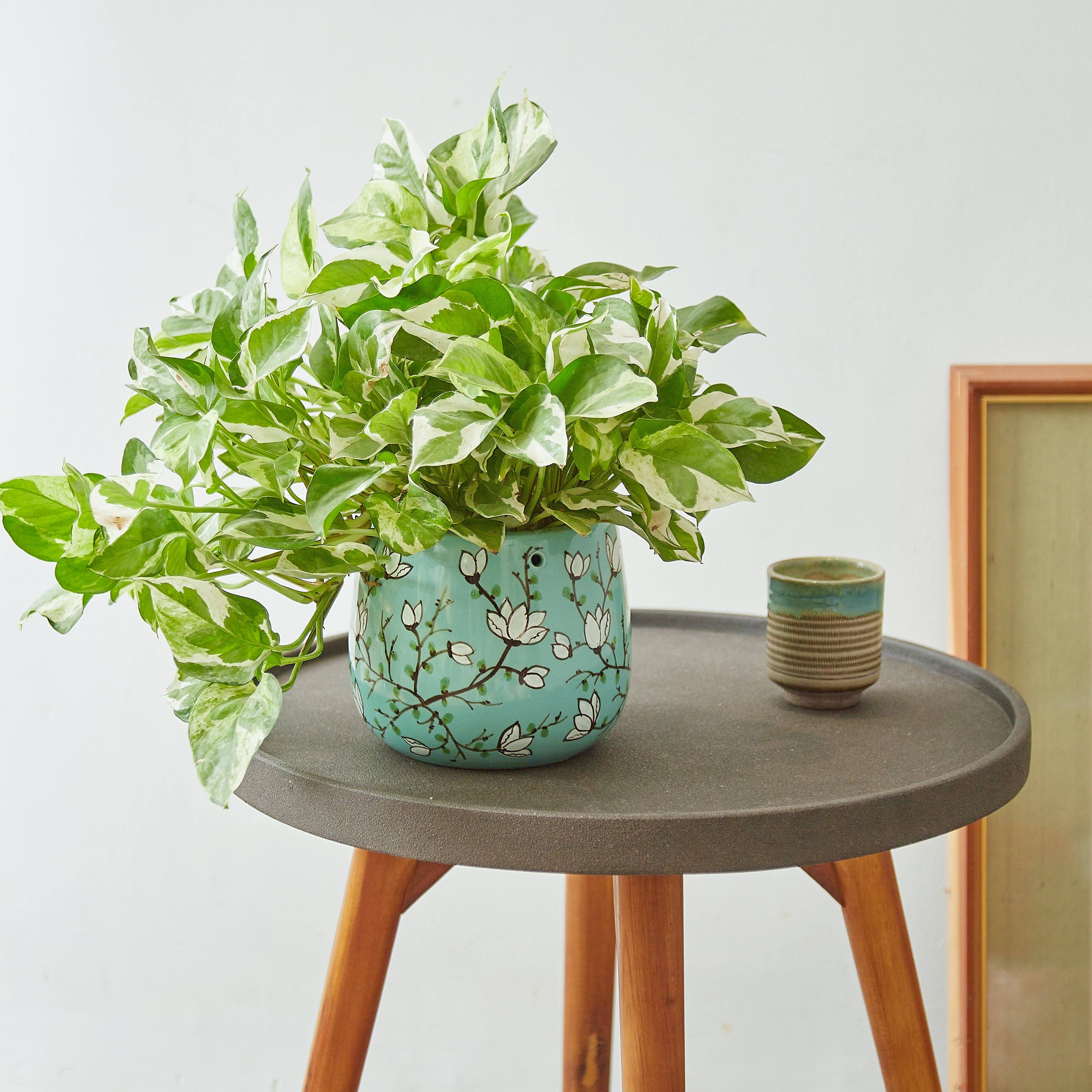 Tabletop planter - office planter - decorative planter - Blue Ceramic Planter