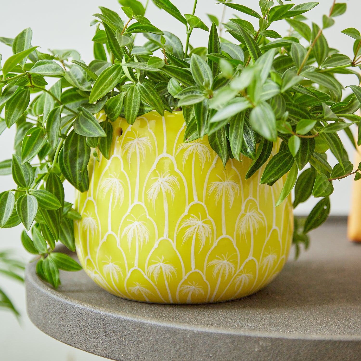 Tabletop planter - office planter - decorative planter - Yellow ceramic planter