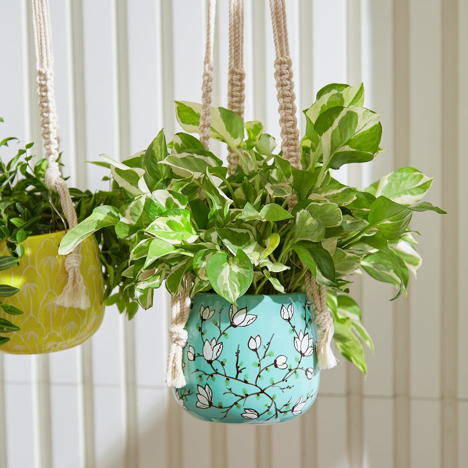 ceramic hanging planter with drainage Light Blue Hanging Planter with Macrame Plant Hanger – GomQ