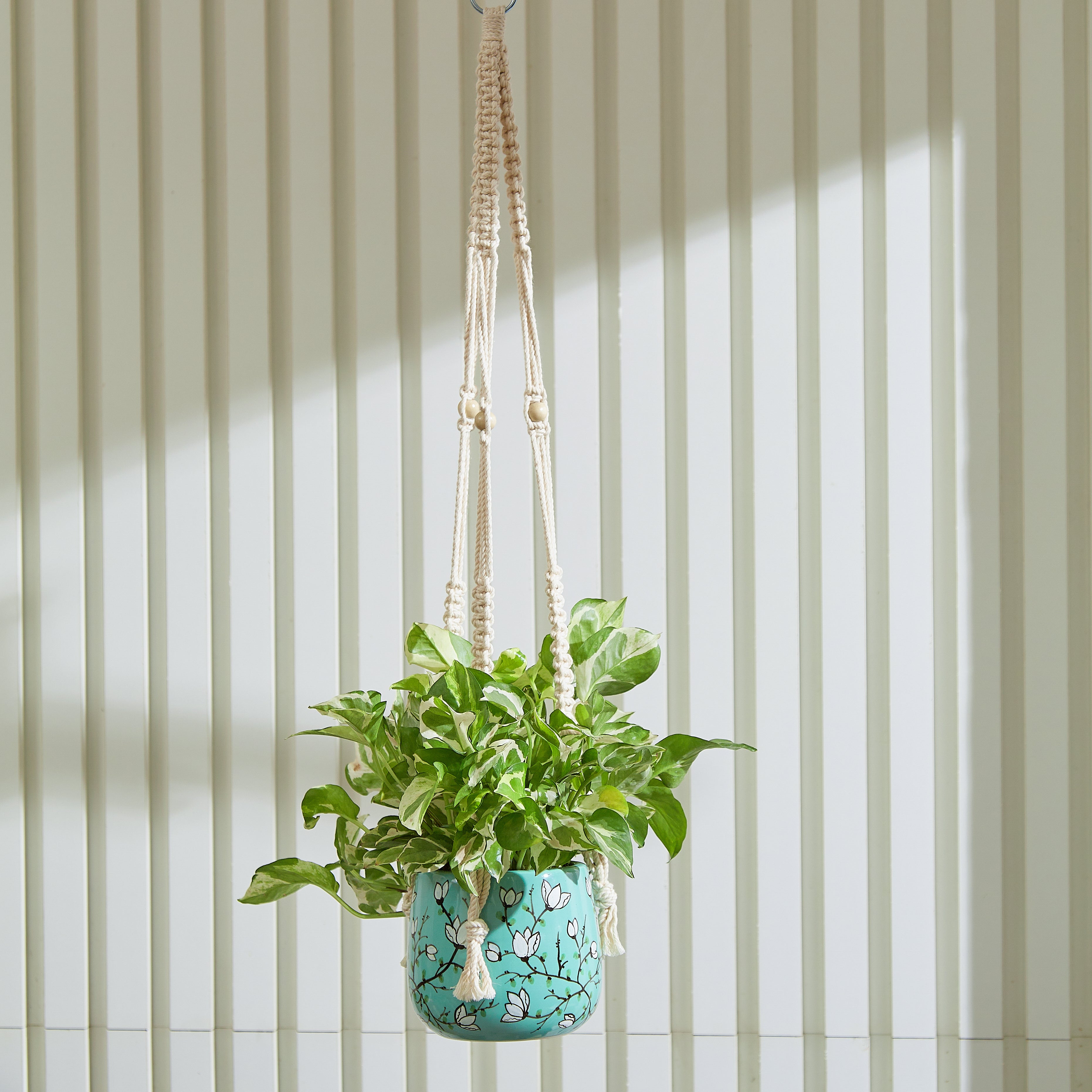 Hanging Planter  - Macrame Plant Hanger - 5 inch planter - Drainage Hole