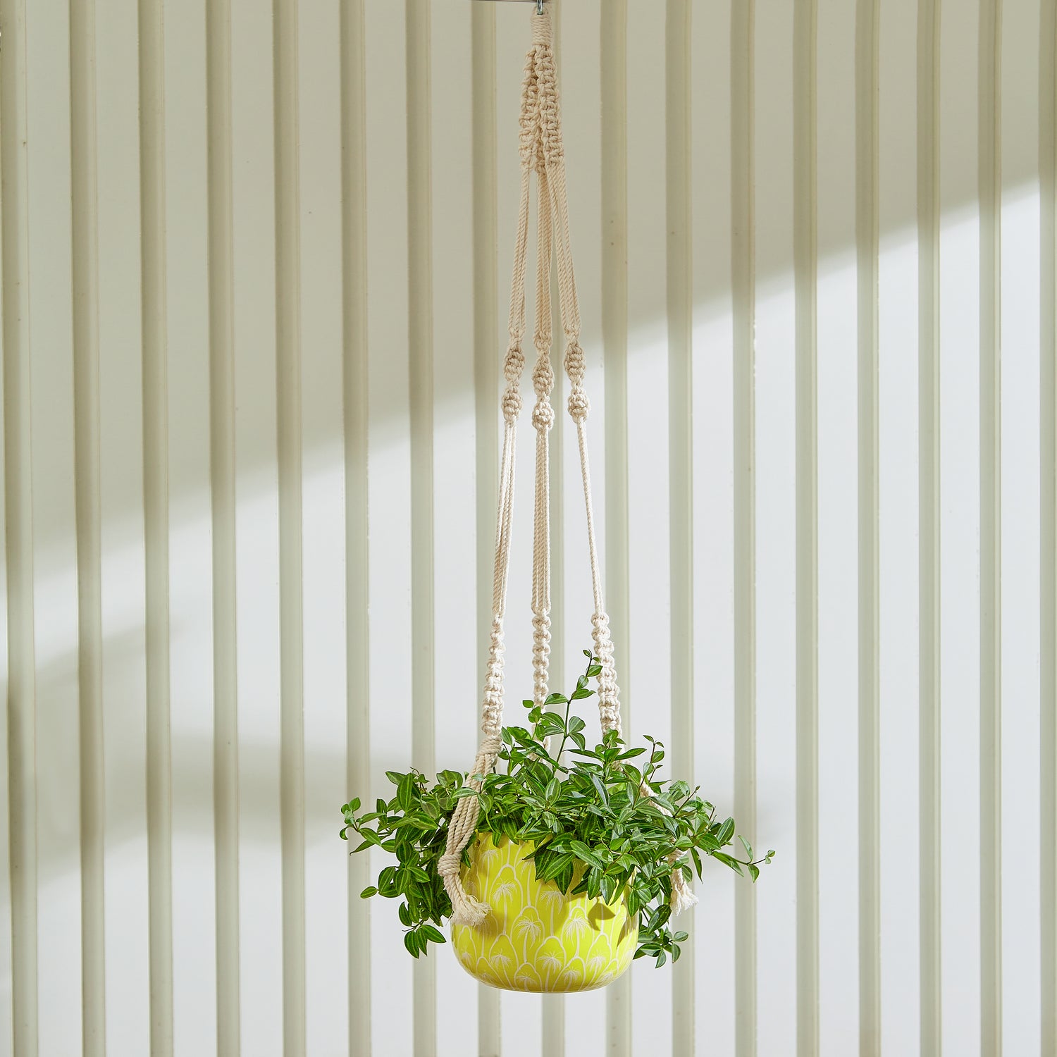 margot hanging planter CocoBreeze Hanging Planter with Macrame Plant Hanger – GomQ