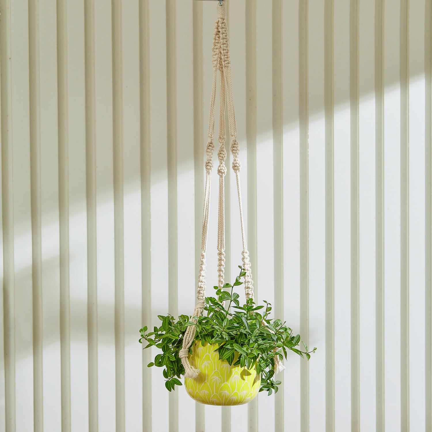 Tabletop planter - office planter - decorative planter - Yellow Ceramic Planter