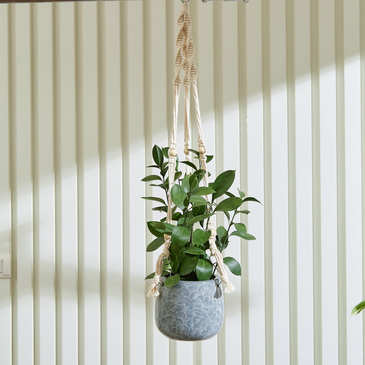 grey hanging planter Grey Hanging Planter with Macrame Plant Hanger