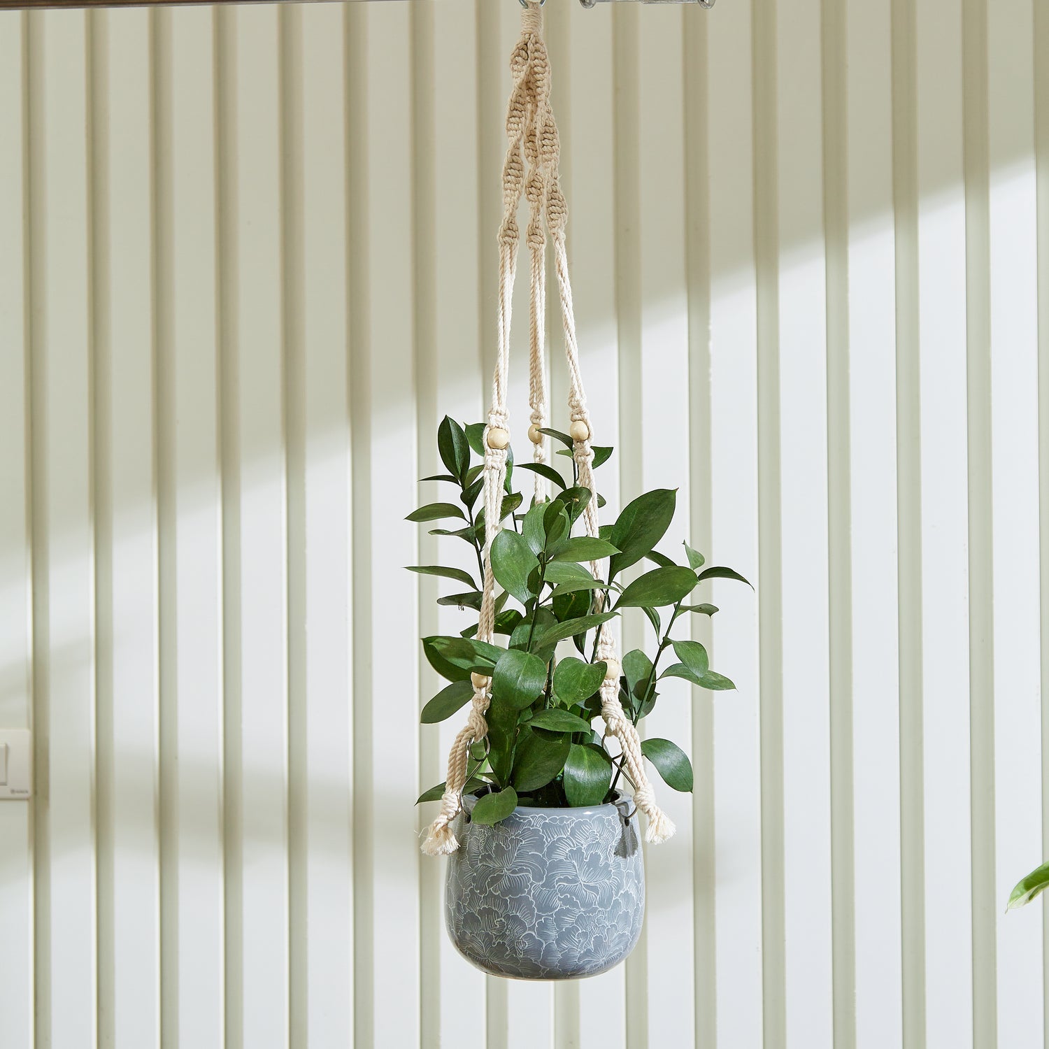 Hanging Planter  - Macrame Plant Hanger - 5 inch planter - Drainage Hole