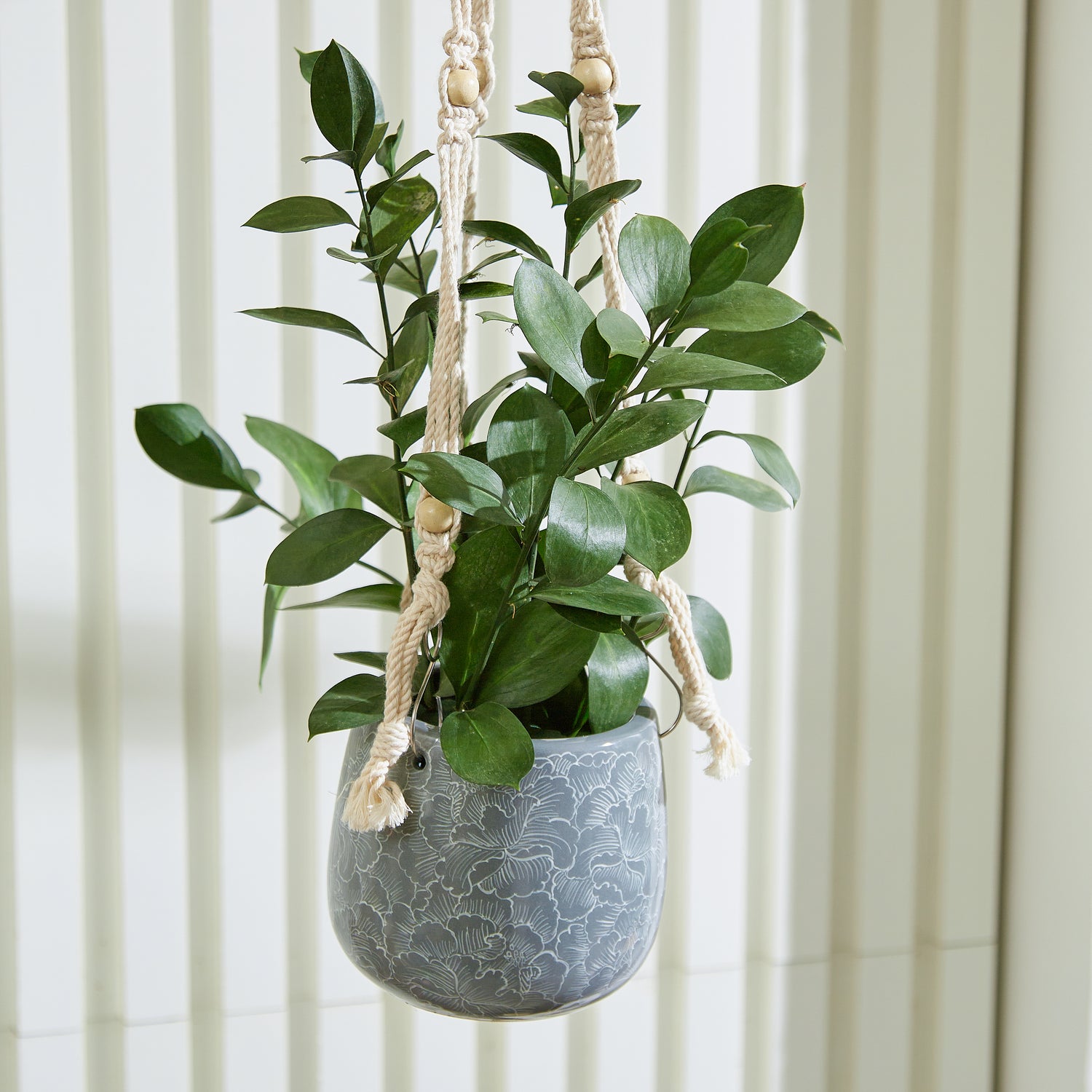 hanging indoor planter with drainage MoonFlora Hanging Planter with Macrame Plant Hanger – GomQ