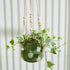 Hanging Planter  - Macrame Plant Hanger - 5 inch planter - Drainage Hole