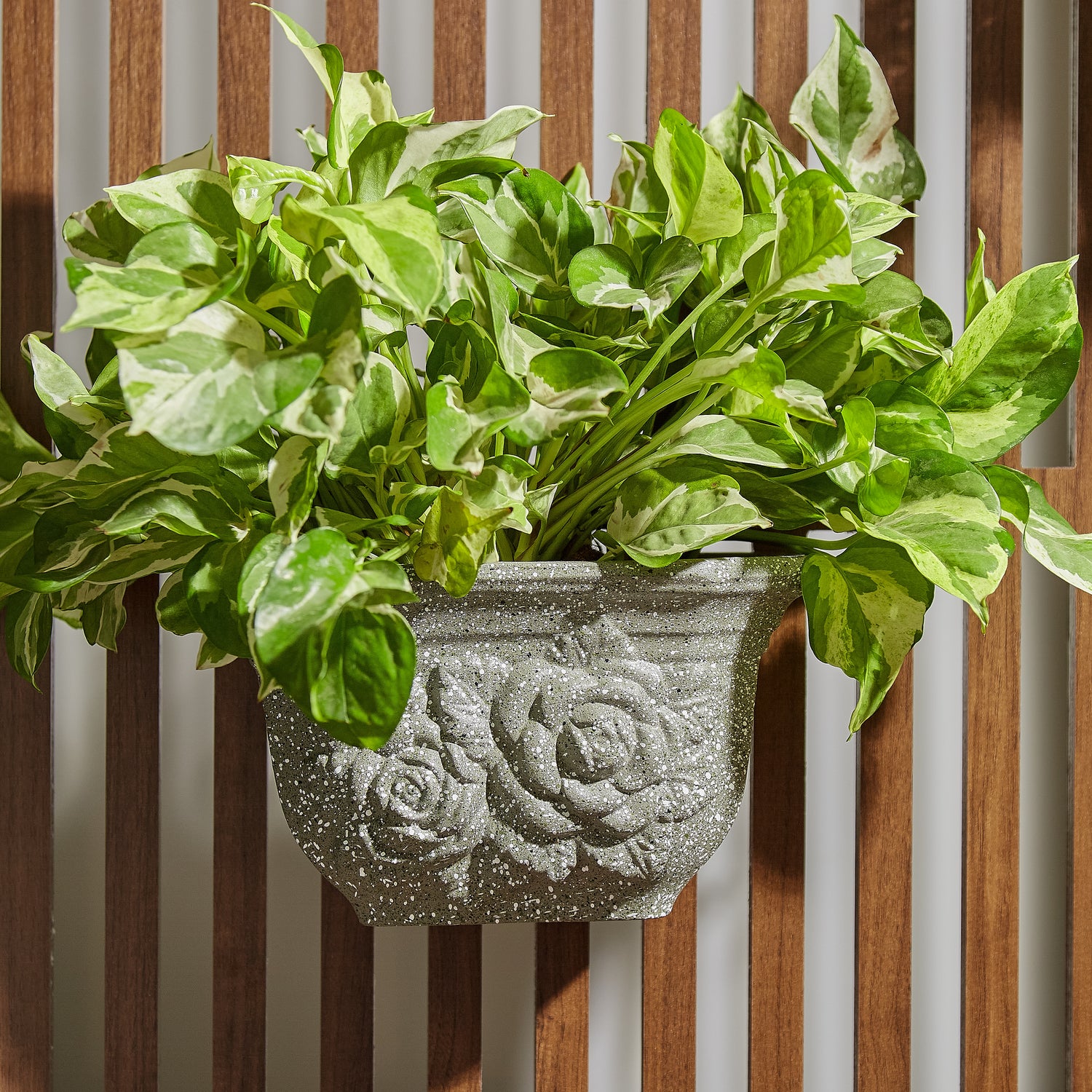 balcony hanging planter Jardiniere Wall Planter – GomQ