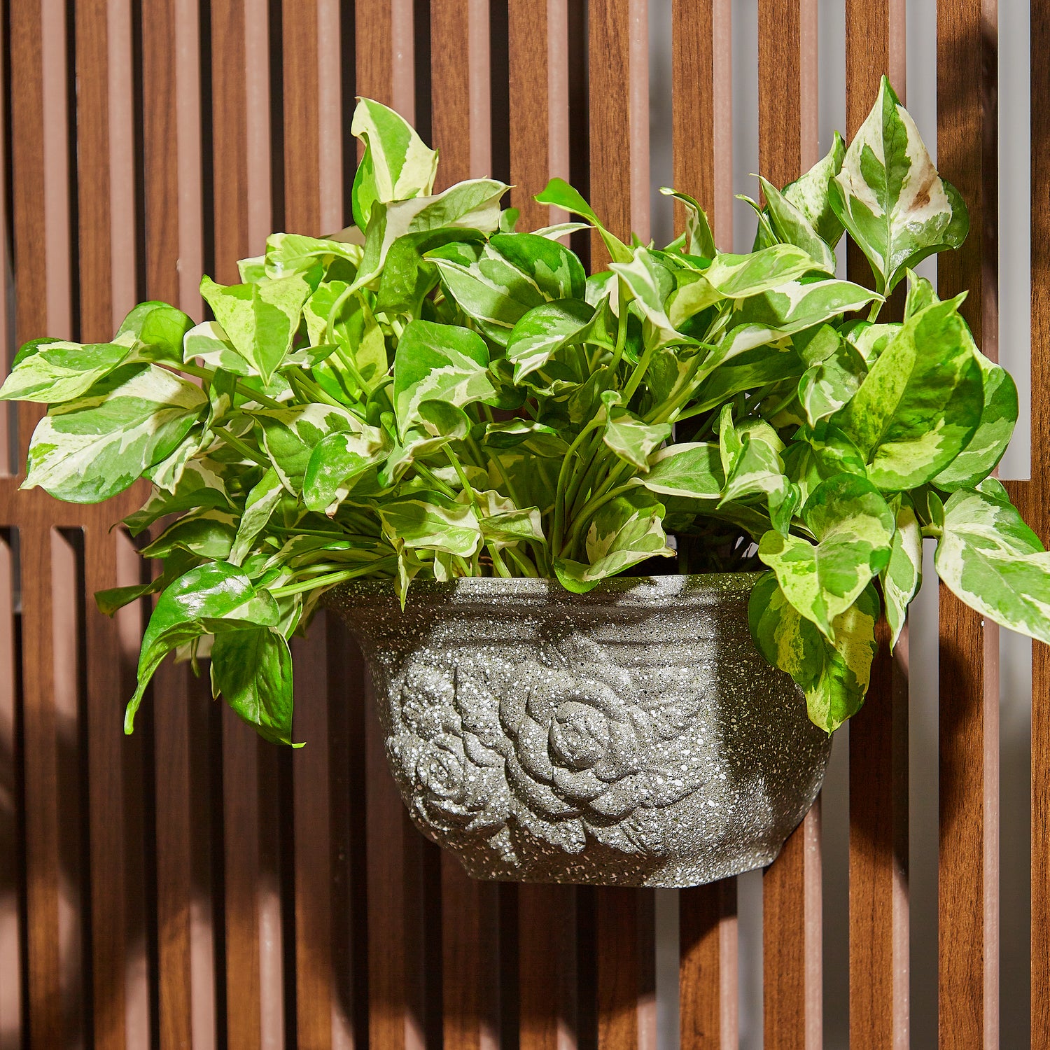 hanging planter balcony Jardiniere Wall Planter – GomQ