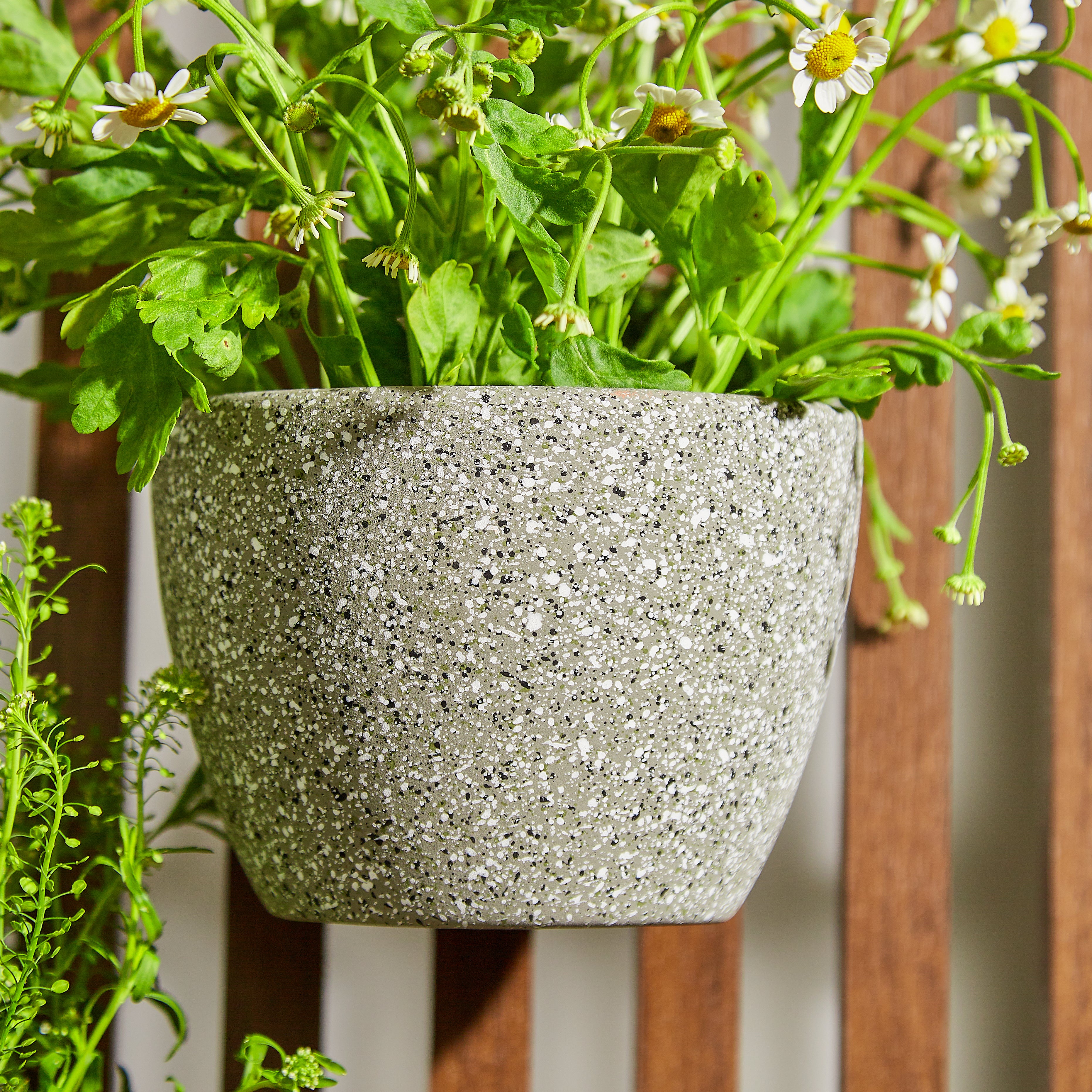 Stardust Wall Planter