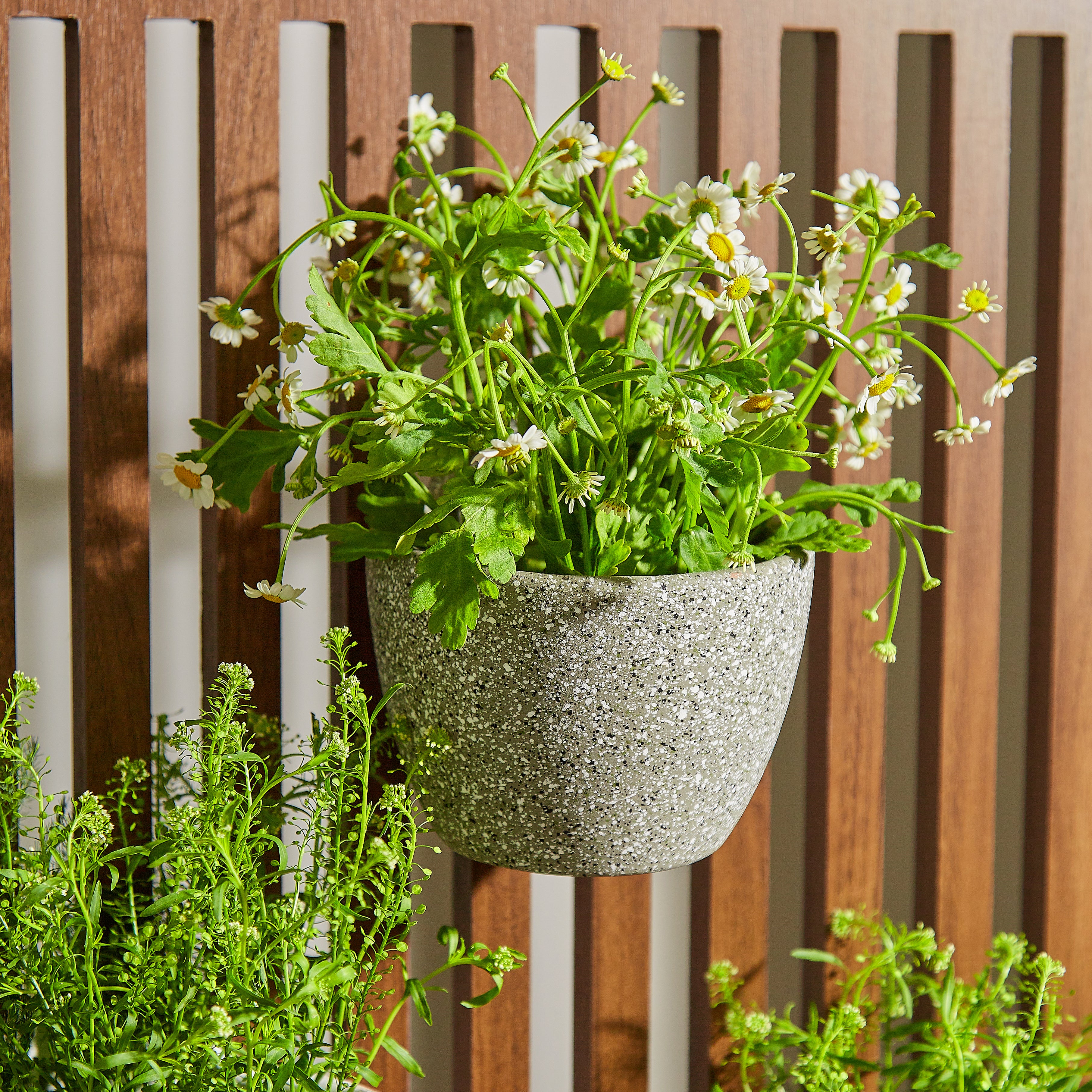 Stardust Wall Planter