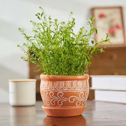 Tabletop planter - office planter - decorative planter - Terracotta Planter with Saucer