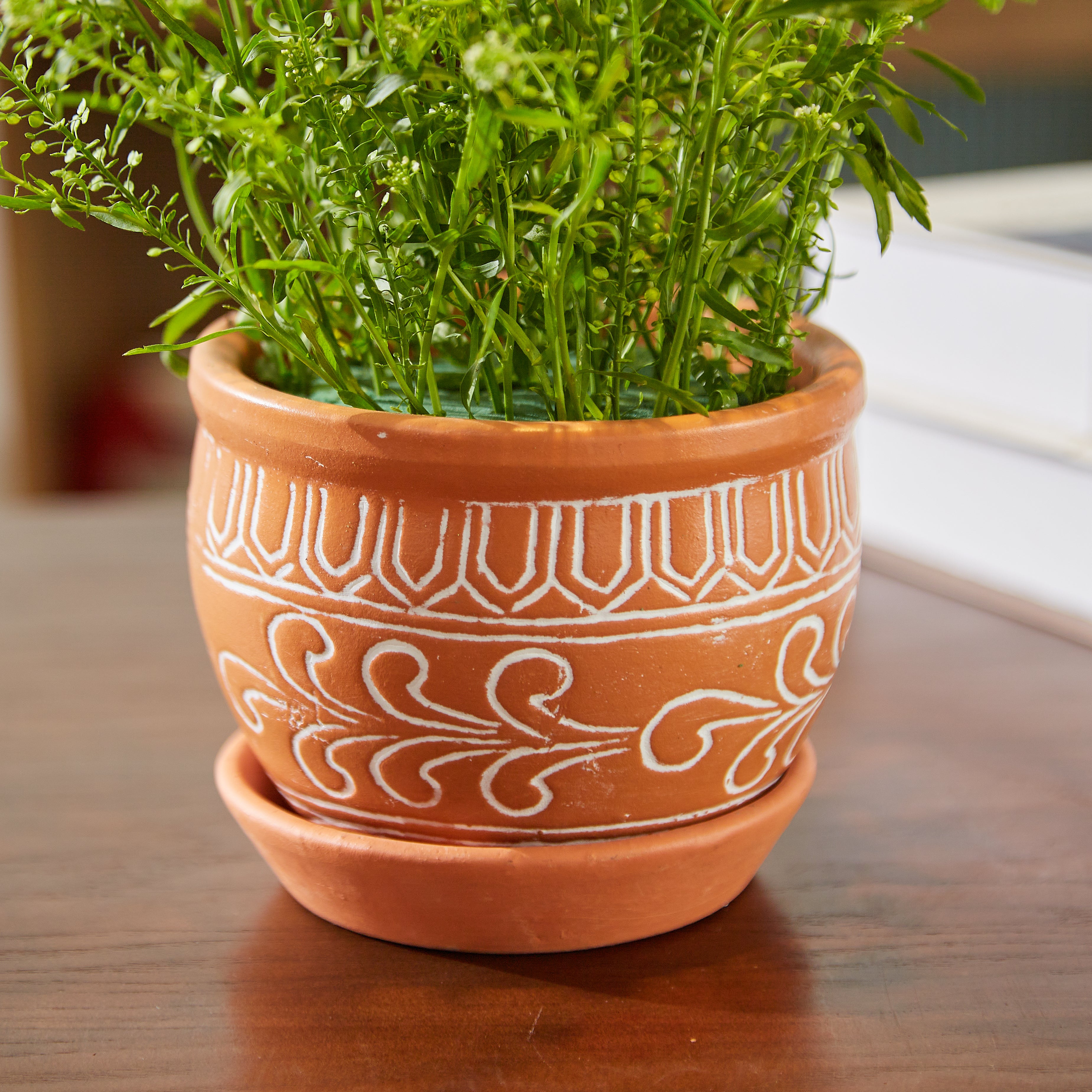 Tabletop planter - office planter - decorative planter - Terracotta Planter with Saucer