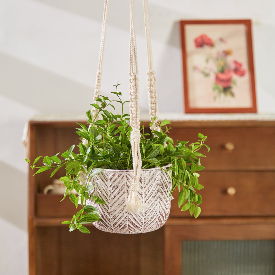 Hanging Planter  - Macrame Plant Hanger - 6 inch planter - Drainage Hole