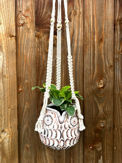 hanging owl planter White Owl Hanging Planter with Macrame Plant Hanger – GomQ