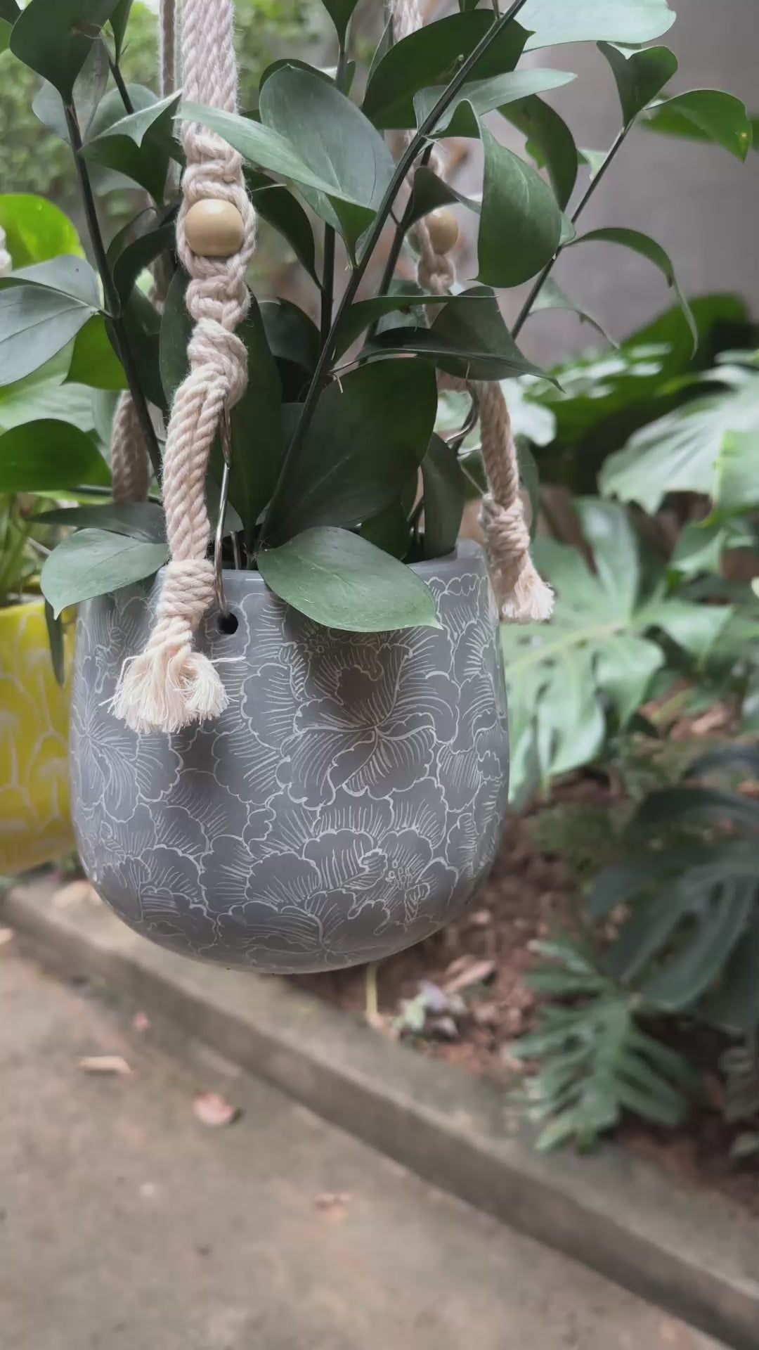 MoonFlora Hanging Planter with Macrame Plant Hanger